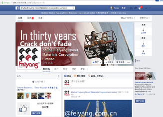 China Begrenzte Facebook Seite Zhuhais Feiyang Novel Materials Corporation fournisseur